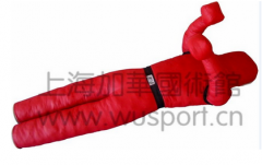 �Ϻ��ӻ�������Ruaisen�������� ��������ѵ������֮ʦ