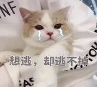 ��ݸ����5��ҡ�ɢ���ۡ�����װӡˢ��ʿ�п������ˣ�