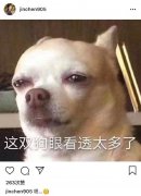 �𳿷���������֡���͸̫���ˡ� ���ƻ�Ӧ�붭���ط���