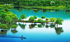 ����ʡ195������ũҵ������ξ�Ʒ�Ǽ���ҵ��԰������������