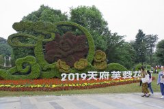���潲������ɽҽѧ��̳���ɶ�ֲ��԰���� ���㿪����������ģʽ