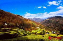 �Ĵ�����Ӣ��������Σ�ɡ����˷����������