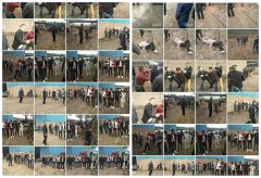 �Ĵ���˳���������ر�һֽ���ı��� ���񻤵ػ���3���