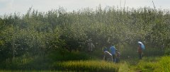 ���콨�廯���ɷ����޹�˾ǿǿ���ֹ��ٸ�����ҵ��չ