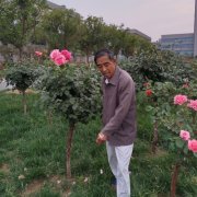 �������������������û�������180��Ԫ������