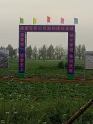 ũ��������תӦ������سа�ũ������Ը