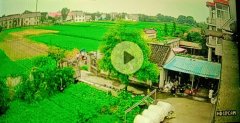 �������һ�����鳤��ָ��ռ�ھ�����