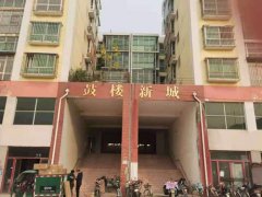 �ӱ�����һС��������16�겻���췿��֤��